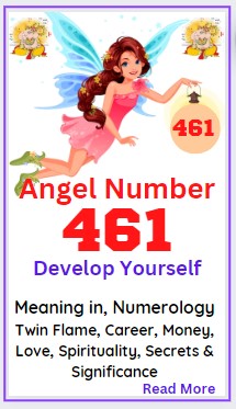 461 angel number meaning