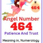 464 angel number meaning