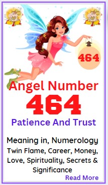 464 angel number meaning