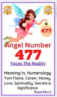 477 angel number