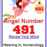 491 angel number
