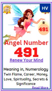 491 angel number