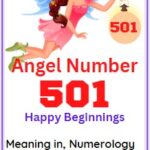 501 angel number