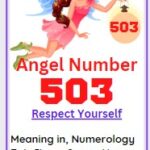 503 angel number