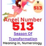 513 angel number