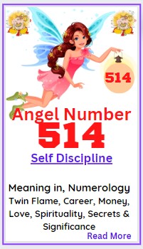 514 angel number