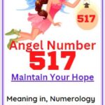 517 angel number