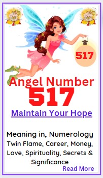 517 angel number