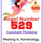 529 angel number meaning