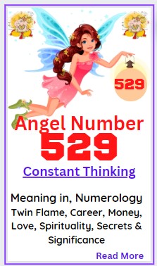 529 angel number meaning