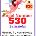 530 angel number