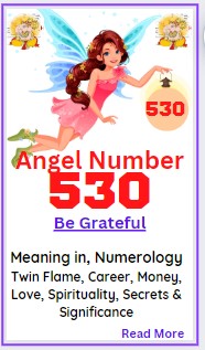 530 angel number