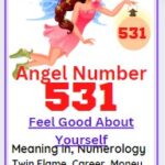 531 angel number