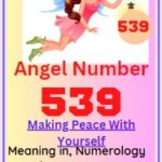 539 angel number