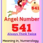 541 angel number