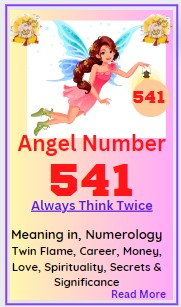 541 angel number