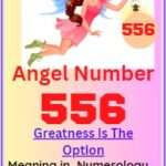 556 angel number