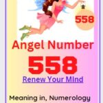 558 angel number