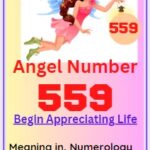 559 angel number