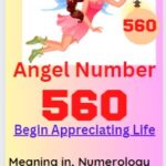 560 angel number
