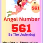 561 angel number