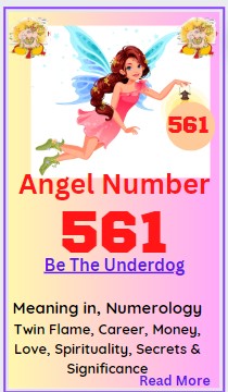 561 angel number