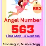 563 angel number