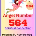 564 angel number