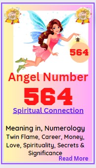 564 angel number