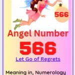 566 angel number