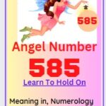 585 angel number