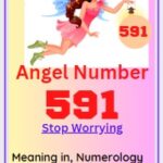 591 angel number