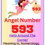 593 angel number