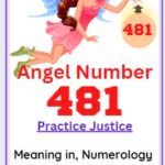 angel number 481