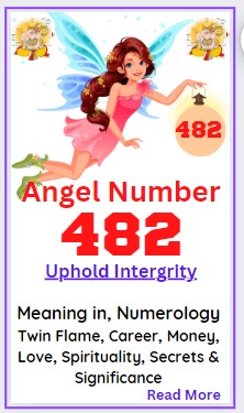 angel number 482