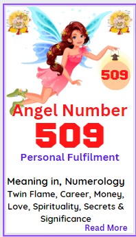 angel number 509