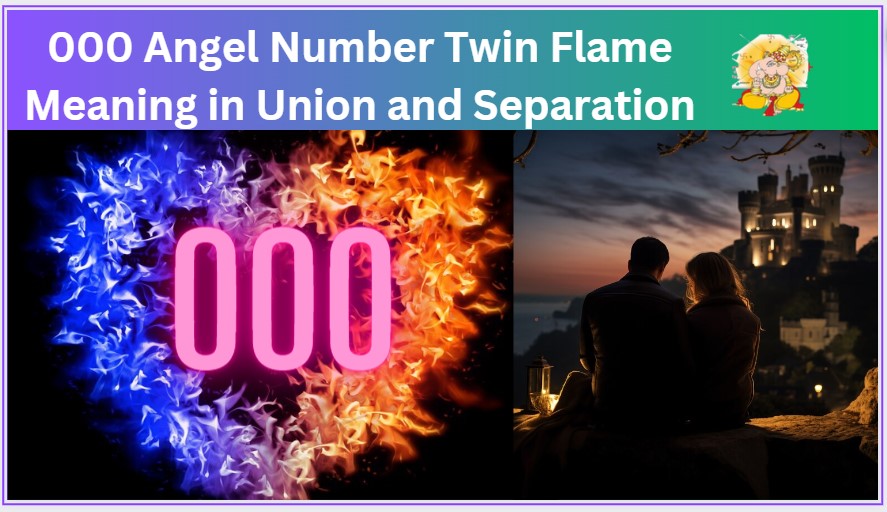 000 twin flame