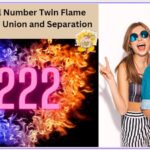 222 angel number twin flame