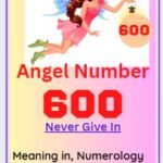 600 angel number