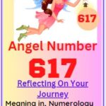 617 angel number