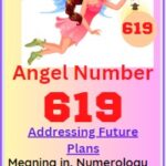 619 angel number