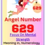 629 angel number
