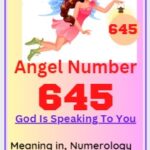 645 angel number