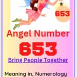 653 angel number