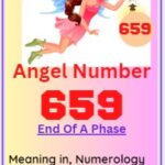 659 angel number