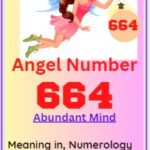 664 meaning