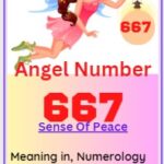 667 angel number