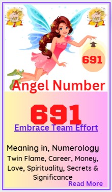 691 angel number meaning