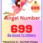 699 meaning