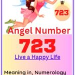723 angel number